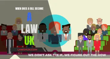 Understanding the UK Lawmaking Process: Bills to Laws