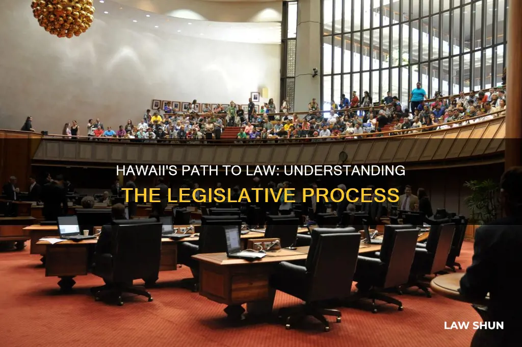 when does a bill become law in hawaii