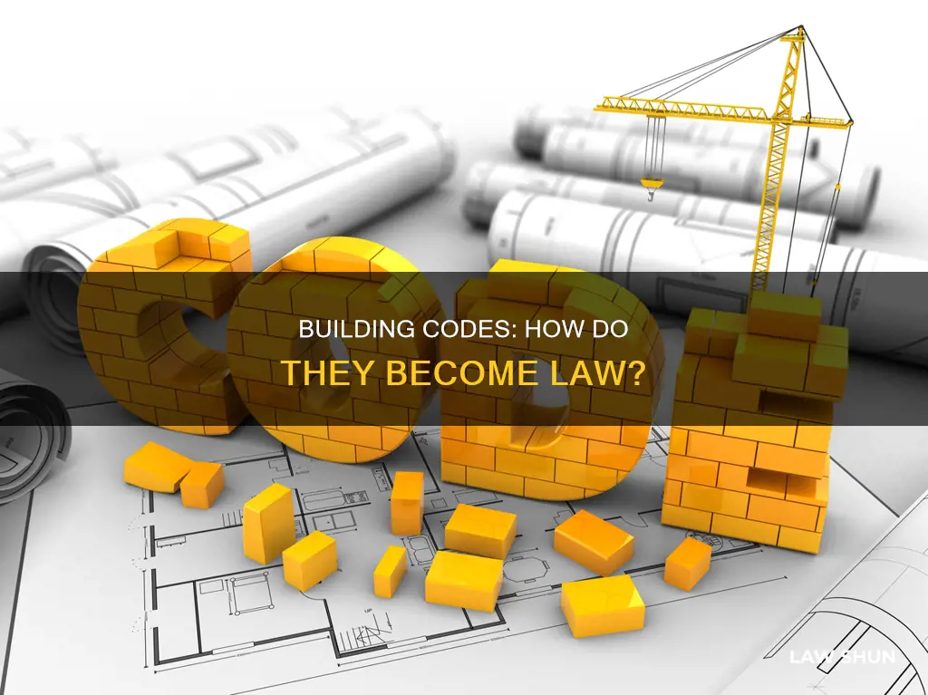 when does a building code become law