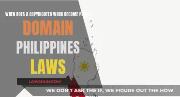 Philippine Public Domain: Understanding Copyright Expiry