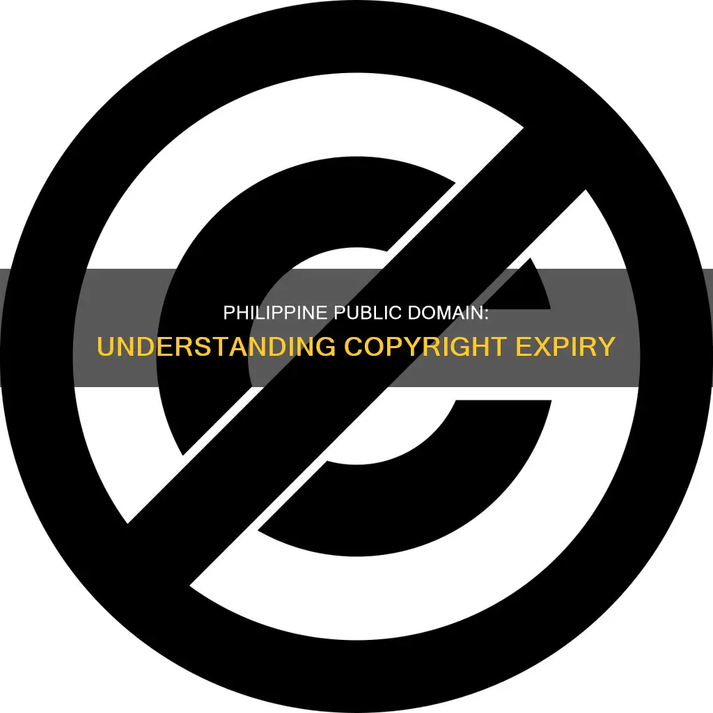 when does a copyrighted work become public domain philippines laws