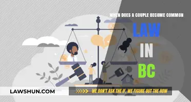 Understanding Common Law in BC: When Couples Become Legally Recognized