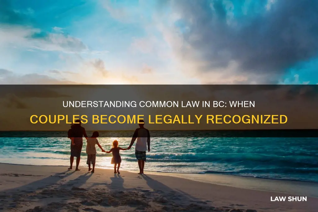 when does a couple become common law in bc