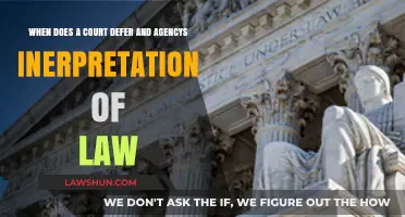 When Courts Defer: Agency Law Interpretation and Judicial Review