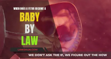 The Law's Definition of Fetal Life: When Does It Become a Baby?