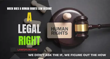 Human Rights Law: When Do They Become Legal Rights?