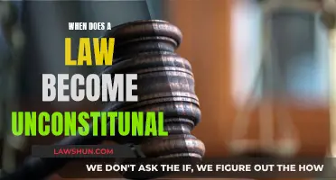 Understanding Unconstitutional Laws: When Do They Break The Rules?