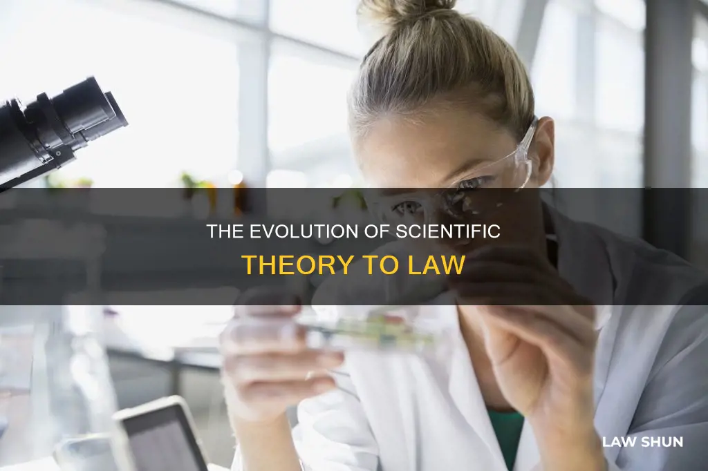 when does a scientific theory become a law