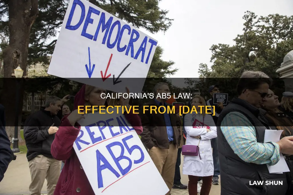 when does ab5 become law