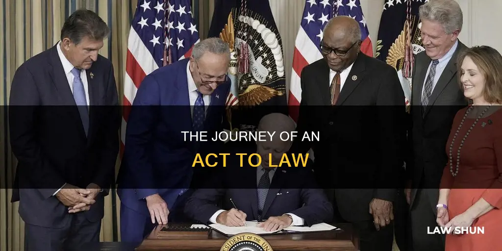 when does an act become a law