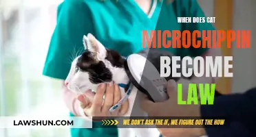 Microchipping Cats: Law Implementation and What It Means