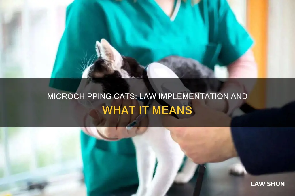 when does cat microchipping become law