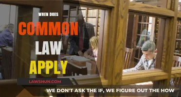Common Law: When Does It Apply?