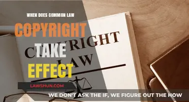 Common Law Copyright: When Does It Begin?