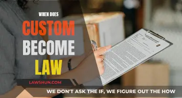 Customs to Laws: Understanding the Transition Process