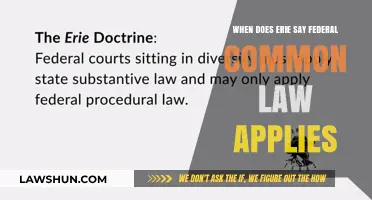 Federal Common Law: Erie's Take