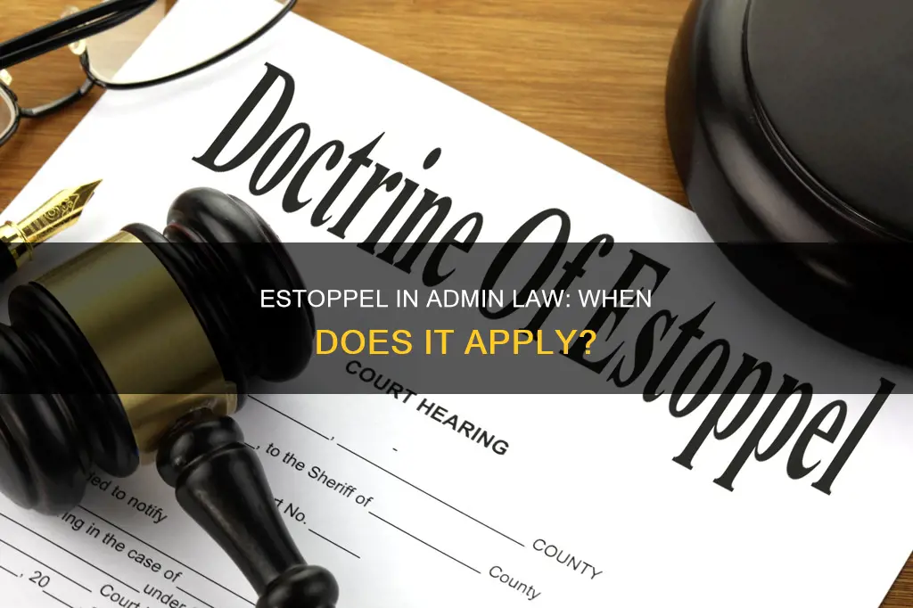 when does estoppel apply in admin law