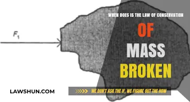 When Does the Law of Conservation of Mass Fail?