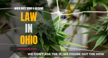 Ohio's Issue 2: Law Implementation Date