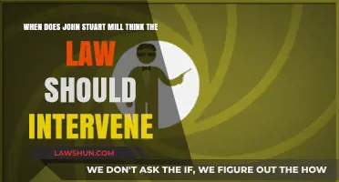 Mill's Intervention Principle: When Should Law Limit Individual Freedom?