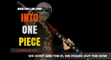 One Piece Legal System: When Laws Govern the Pirate World