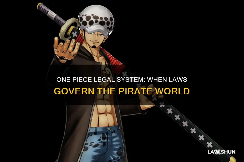 when does law come into one piece