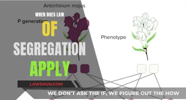 Segregation Law: When Does It Apply?