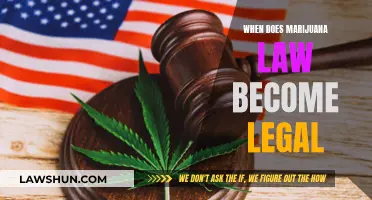 Marijuana Laws: Understanding Legalization and the Timeline