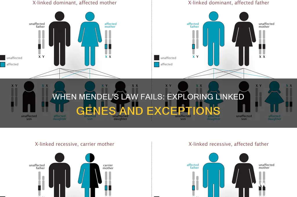 when does mendels law of independent assortment not hold true