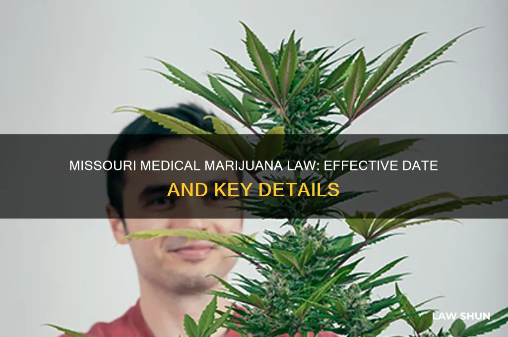when does mo law for medical majaune going into effevt