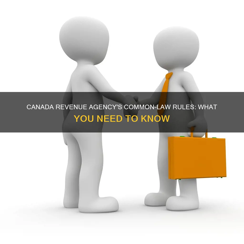 when does revenue canada consider you common law