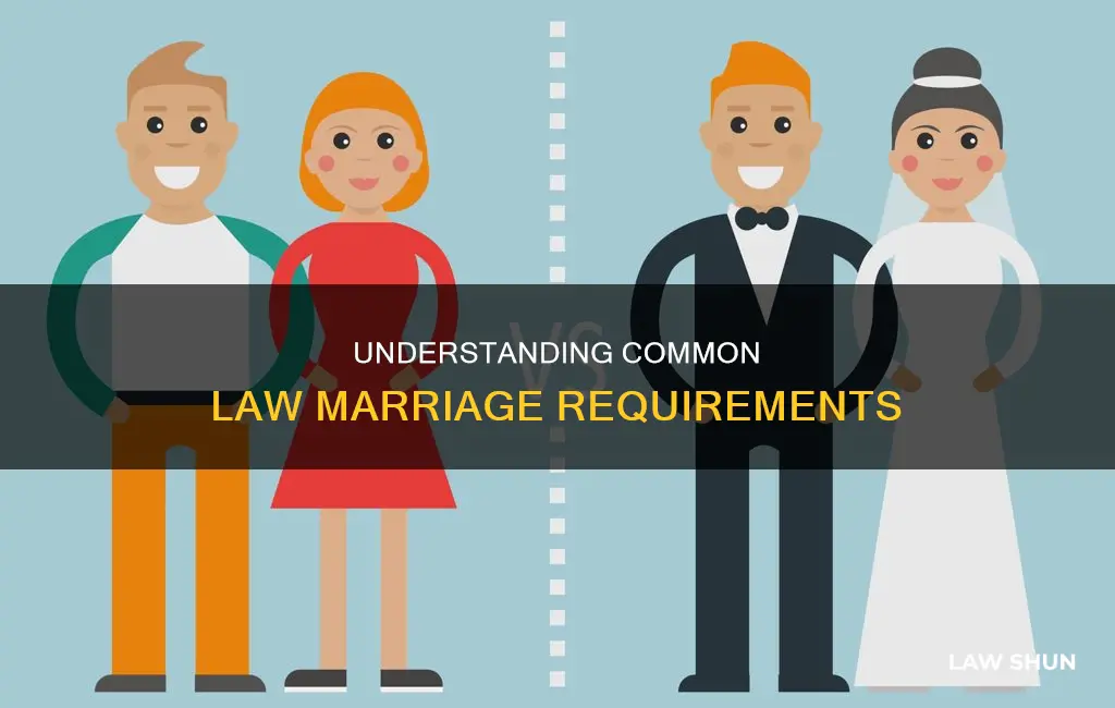 when does someone become a common law marrige license