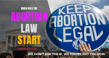 The Abortion Law: When Does Regulation Begin?