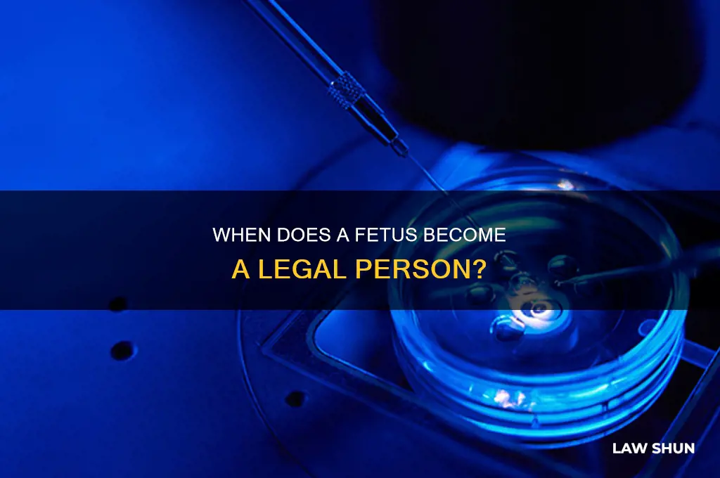 when does the law define a fetus as a person