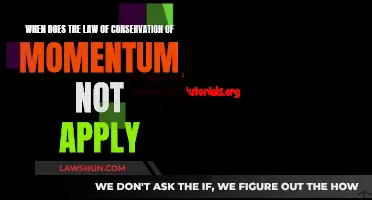 Momentum Conservation Law: When Does It Not Apply?