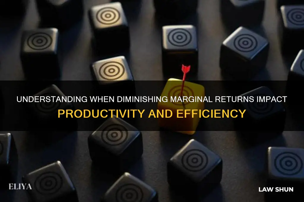 when does the law of diminishing marginal returns set in