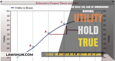 Understanding When Diminishing Marginal Utility Applies in Real-World Scenarios