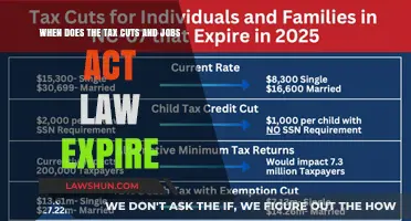 Tax Cuts and Jobs Act: Expiry Date Looms