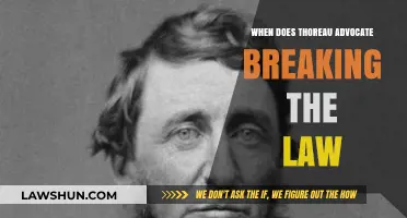 Thoreau's Revolutionary Spirit: When Civil Disobedience Justifies Breaking the Law