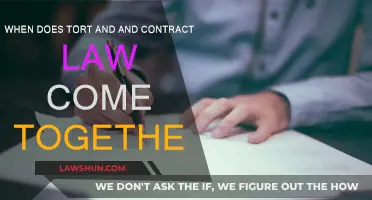 Tort and Contract Law: When Do They Overlap?