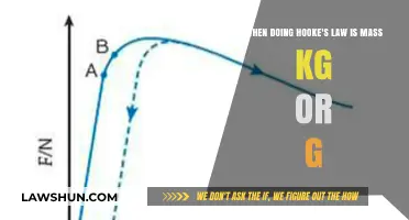 Hooke's Law: Understanding Mass Units in kg or g for Accuracy