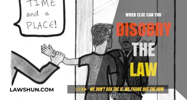 When Disobeying the Law is Justified