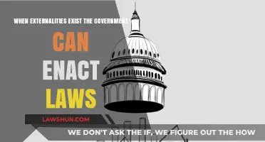 Government Intervention: Externalities and Lawmaking