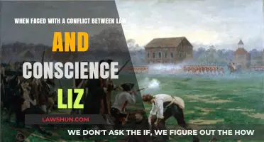 Conscience vs. Law: Navigating Moral Dilemmas with Liz's Perspective