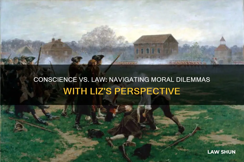 when faced with a conflict between law and conscience liz