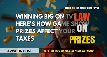 Tax Law: Prizes and Winnings Explained