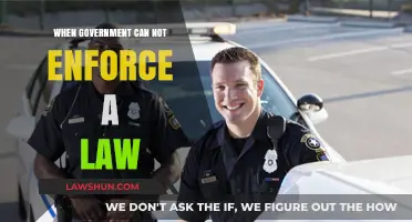 Lawlessness: When Government Fails to Act