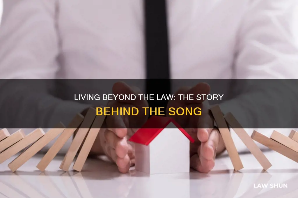 when i was alive i lived despite the law song