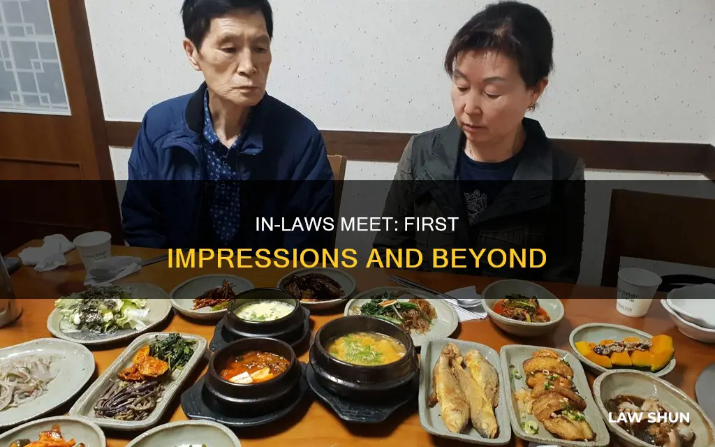 when in laws meet for the first time