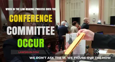 Conference Committee Role in the Law-Making Process Explained